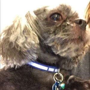 Meet your Posher, Joyce